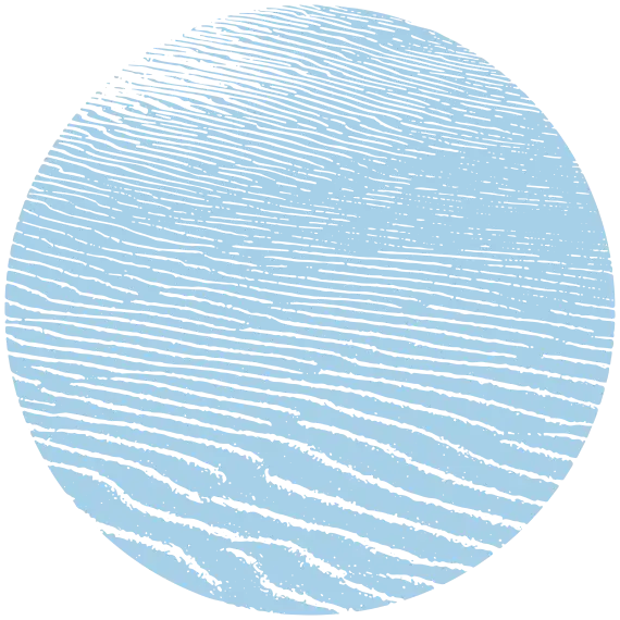 About Skyline Realty